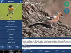 Cantos de Aves Id iPad image 4