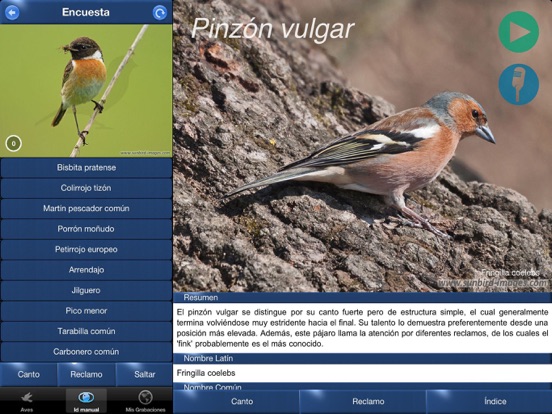 Cantos de Aves Idのおすすめ画像4