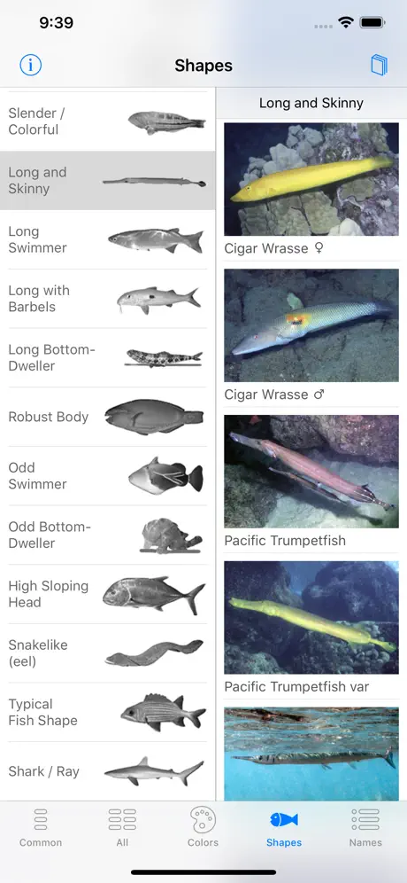 Scuba Fish Hawaii