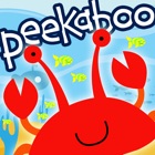 Peekaboo Ocean - Who's Hiding Under the Sea? - Animal Names & Sounds for Kids