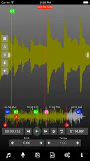 music speed changer lite 2 айфон картинки 1