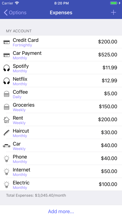 Cash Flow Companion screenshot 4