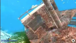 Game screenshot Snap&Sea-BrittanyFerries hack