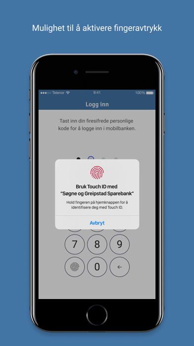 Søgne og Greipstad Mobilbank Screenshot