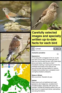 Game screenshot Birds of Britain Pocket Guide apk
