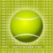 This app will give you instant access to an incredible array of statistics about the men’s pro tennis tour