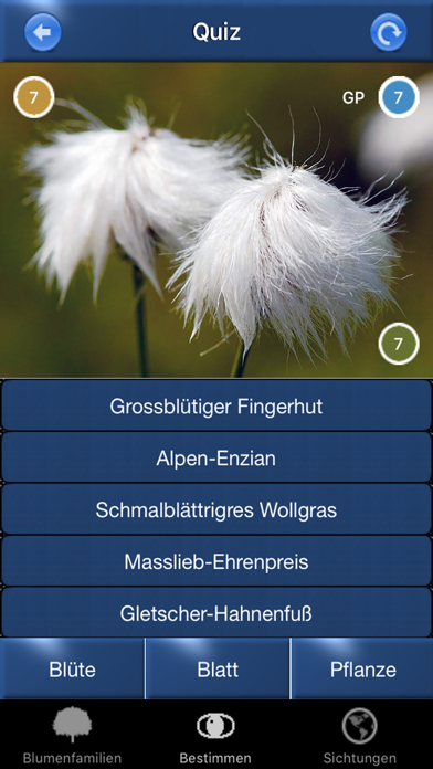 Alpenblumen Id Automatik Screenshot