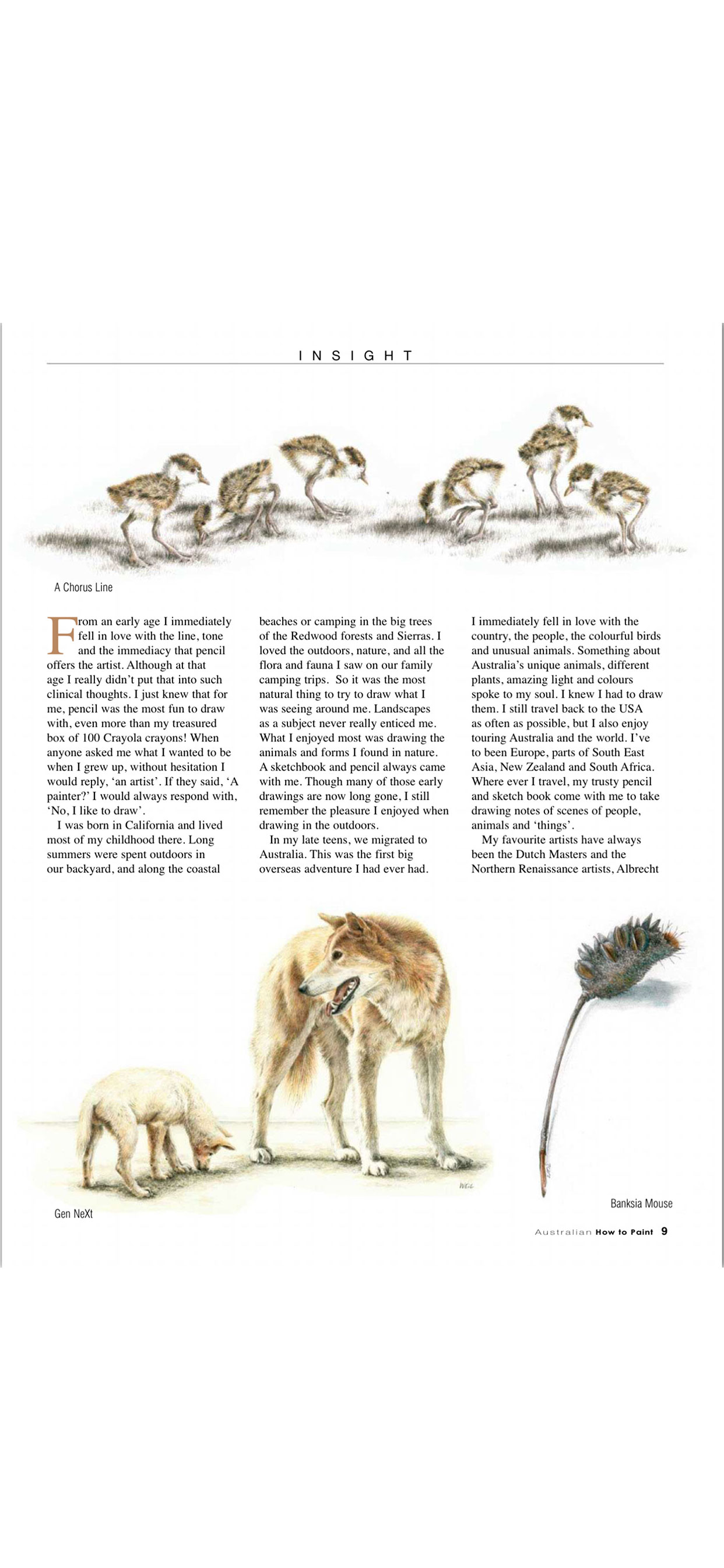 The Australian How to Paint