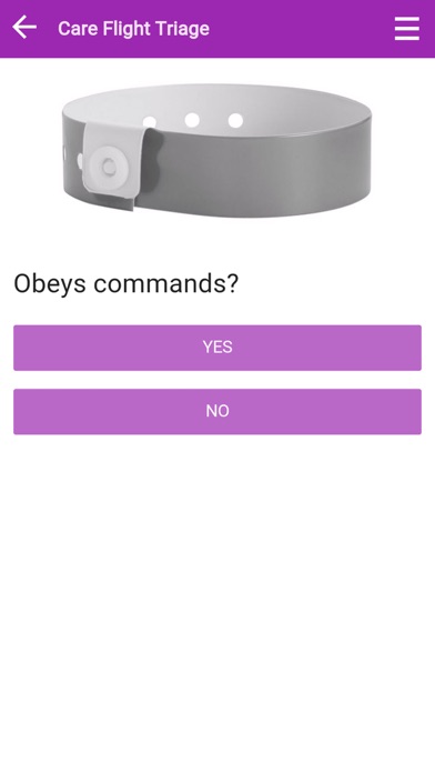 Screenshot #2 pour FasTriageApp