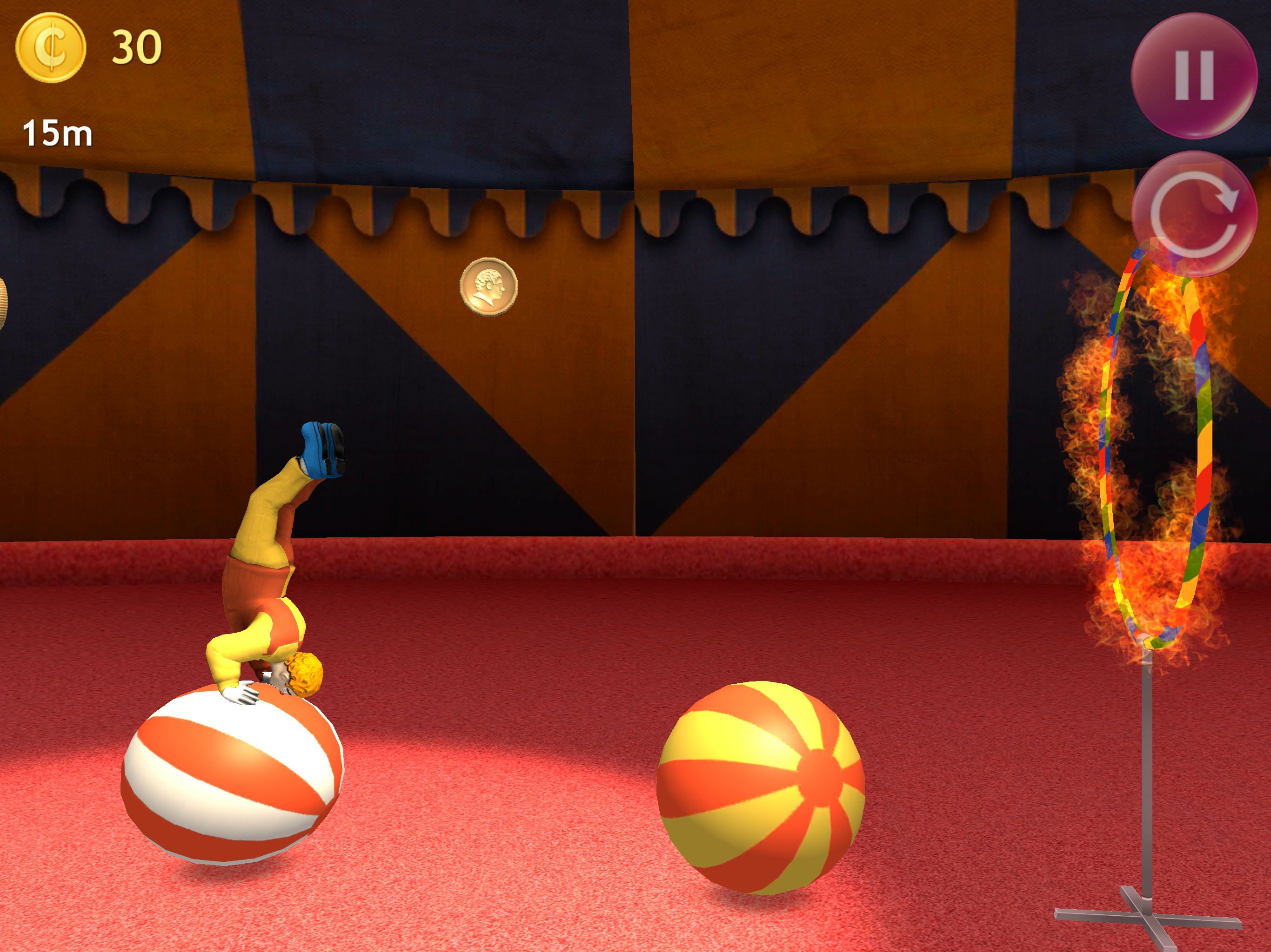 Circus Jumpers