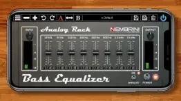 analog rack bass equalizer iphone screenshot 1