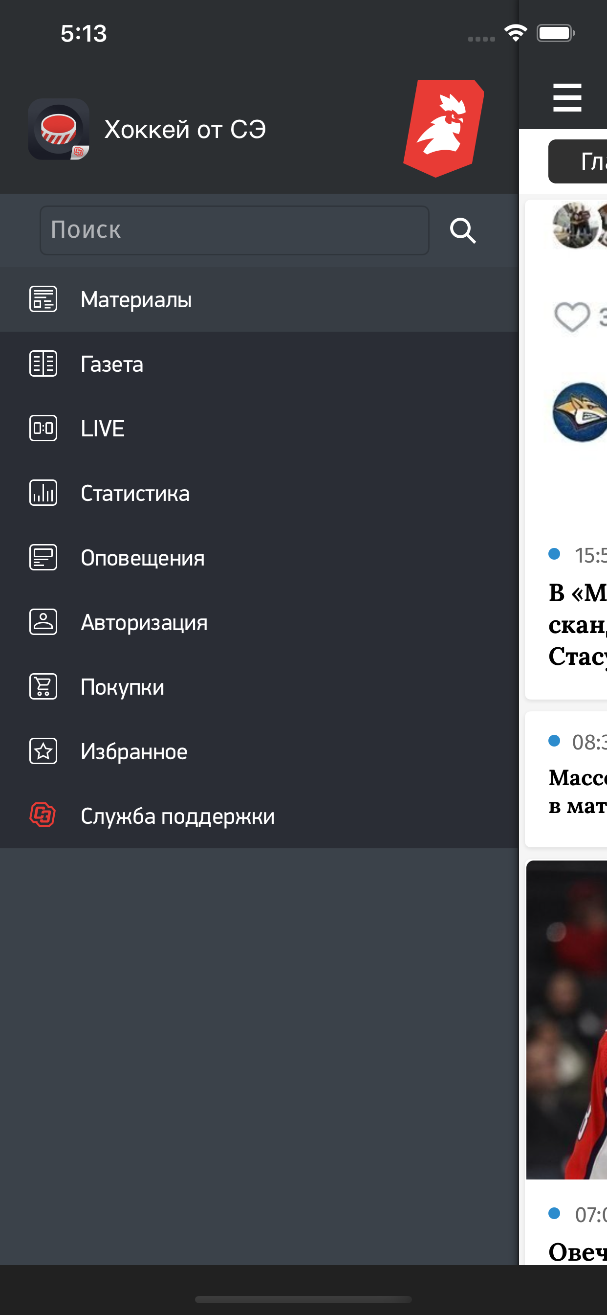 Хоккей от СЭ
