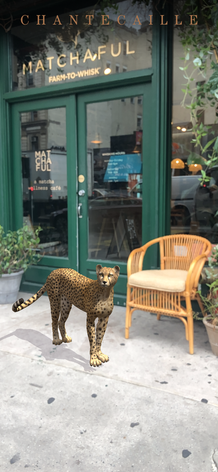 Chantecaille Wild Beauty