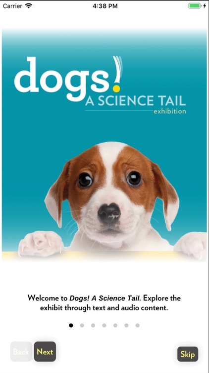 Dogs! A Science Tail