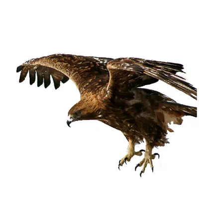 Tierwelt des Alpenraums Читы