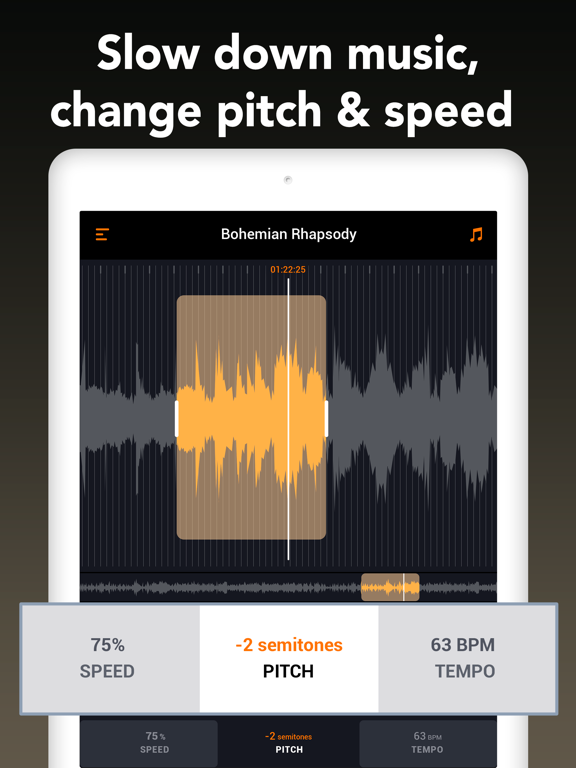 Learn and Play – Guitar Licks iPad screenshot 6 - Music app