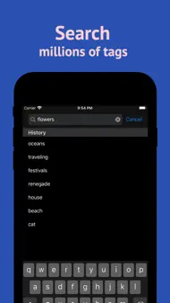 TikTags for Hashtags - Likes iphone bilder 1