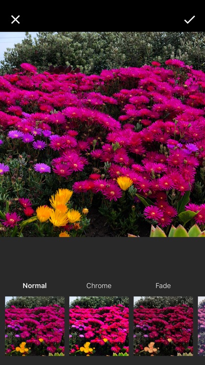 Pro Photo Filter screenshot-3