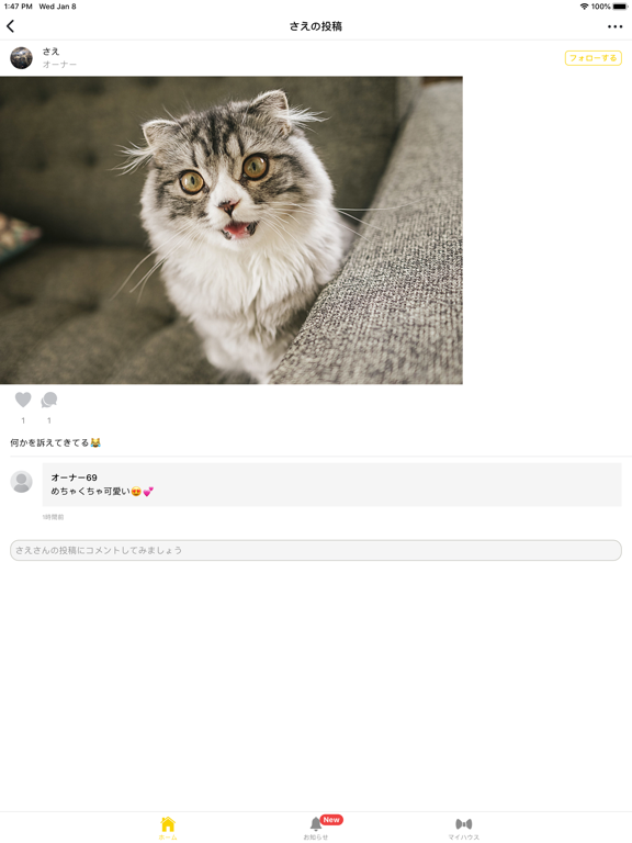 ペットじまん iPad screenshot 2 - Social Networking app