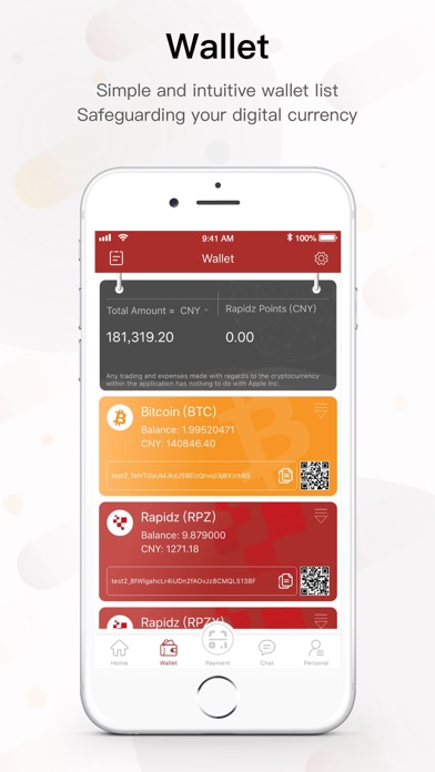 Rapidzpay screenshot 3