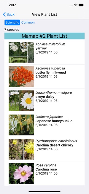 Virginia Wildflowers On The App Store