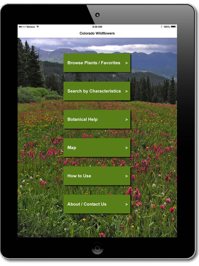 Colorado Rocky Mtn Wildflowers