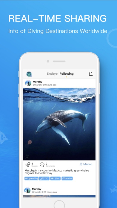 Dive+ グローバル潜水コミュニティのおすすめ画像4
