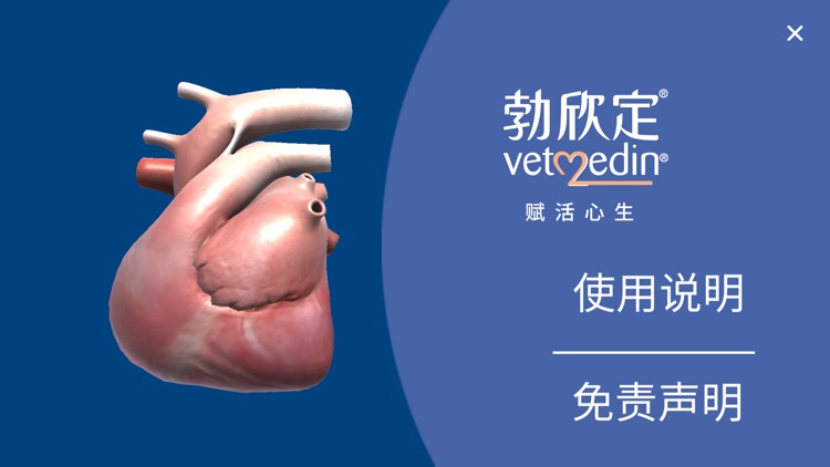 勃欣定3D心脏模型