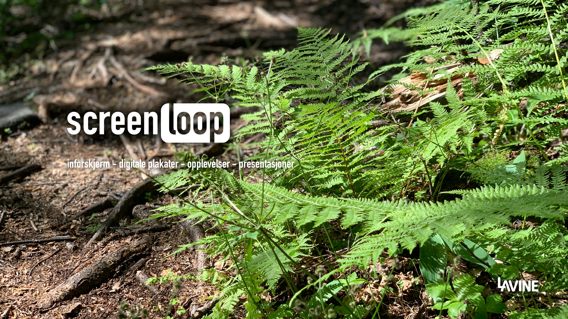 Screenloop