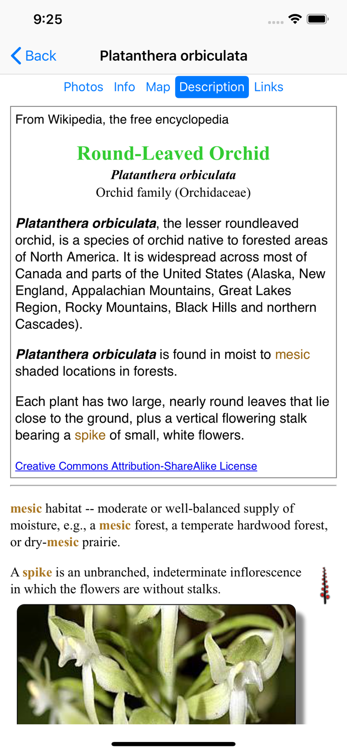 Pennsylvania Wildflowers