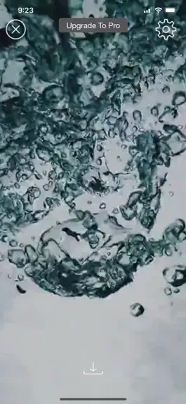 Game screenshot HD & Live Wallpapers apk