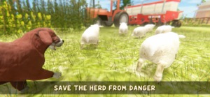 Silly Sheep Run- Farm Dog Game screenshot #5 for iPhone