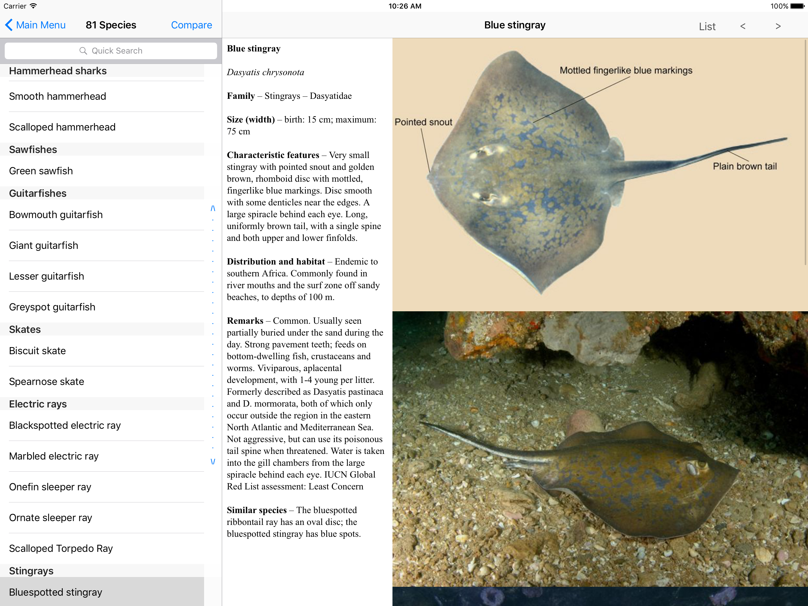 eGuide to Sharks and Rays screenshot 8