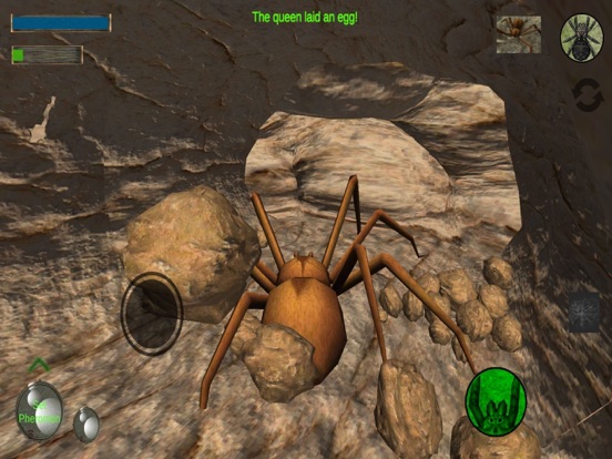 Screenshot #6 pour Spider Colony Simulator