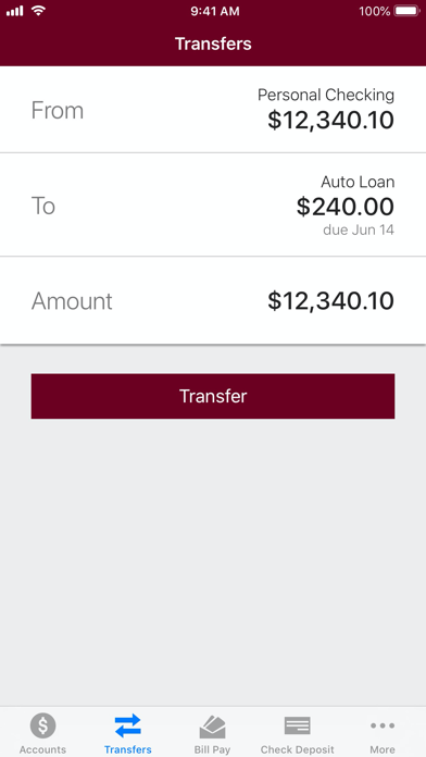 Saratoga National Bank Screenshot