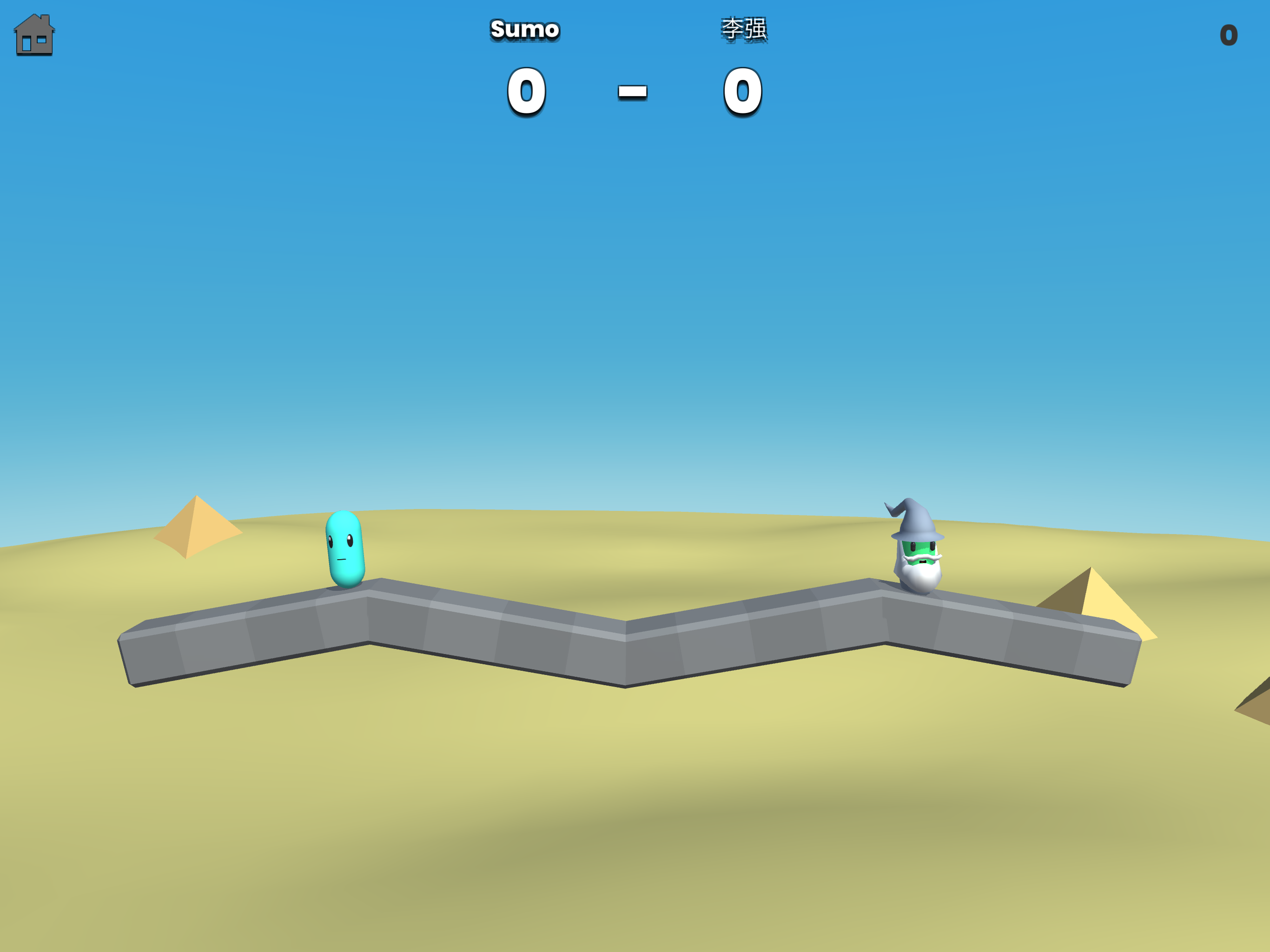 Sumo 1 vs 1