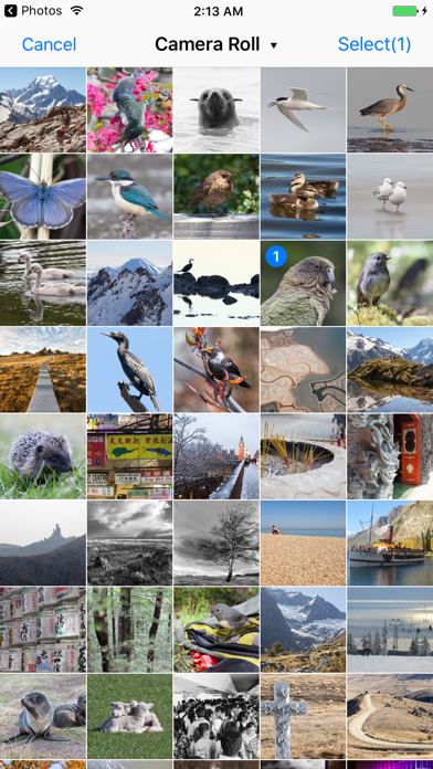 Screenshot #1 pour Mini Pxt Lite