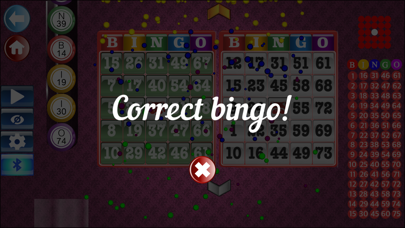 Bingo Set Screenshot