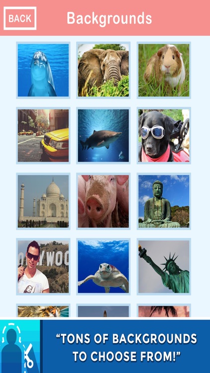 In The Pic Photo Crop & Chop