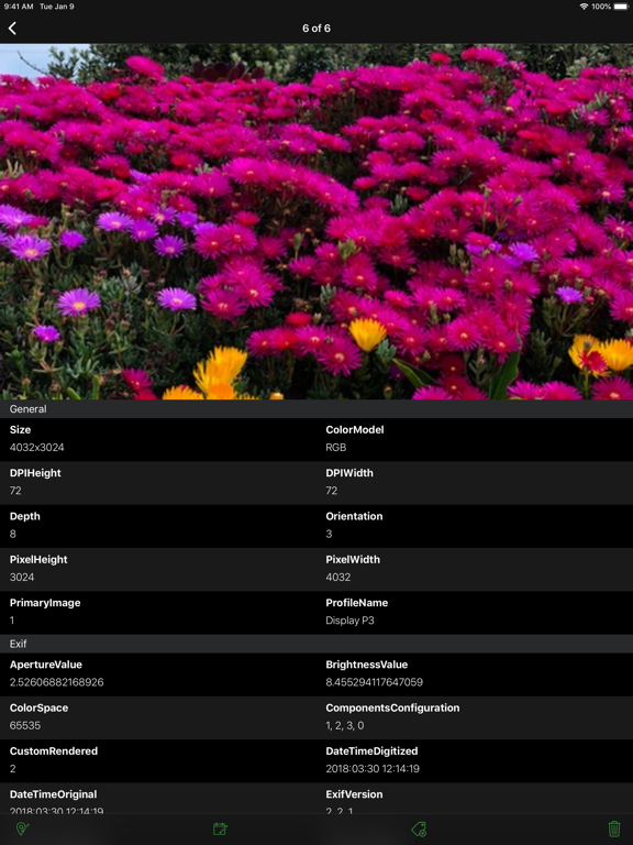 Exif Manager screenshot 3