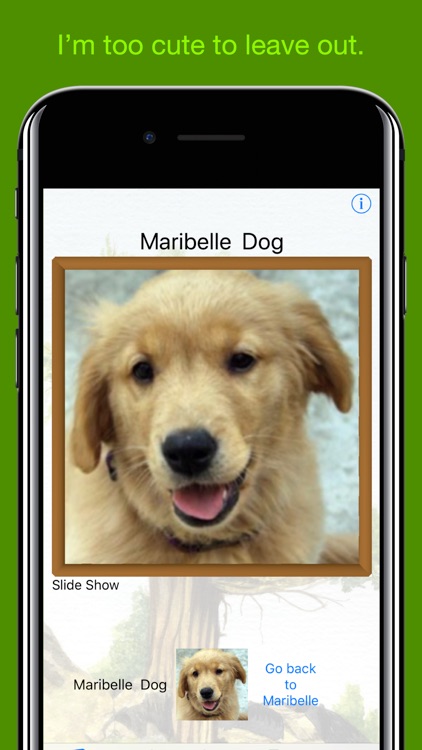 Relations Family Cube Viewer screenshot-4