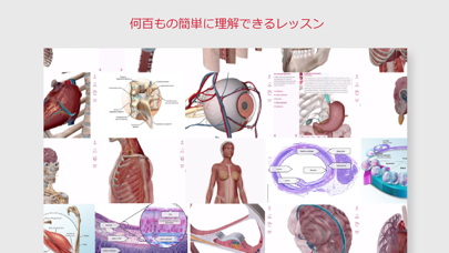 解剖学的構造と生理学スクリーンショット