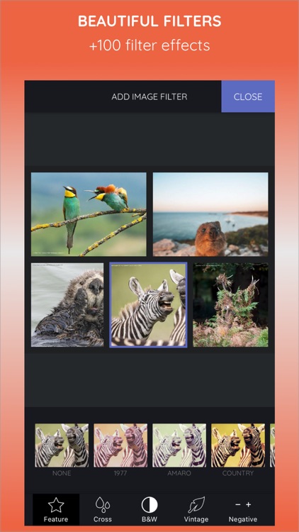 ImaGrid - Collage maker