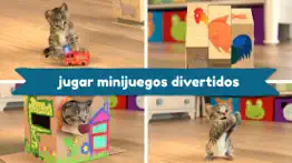 little kitten juego de gato 3d iphone capturas de pantalla 2