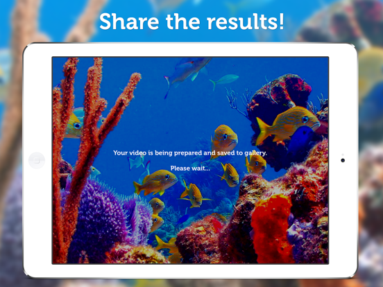 Instand: Video FX and filters iPad screenshot 4 - Photo & Video app