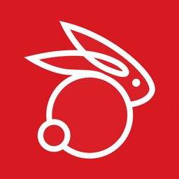 Rabbit Dispatch (User)