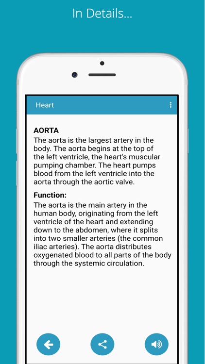 Learn Human Anatomy screenshot-5