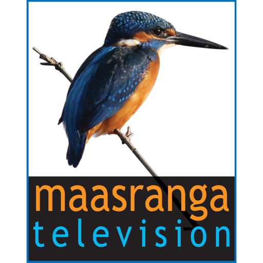 Maasranga Television