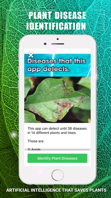 Plants Disease Identification Screenshot