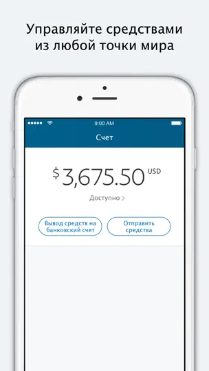 Скриншот PayPal Business на iPhone 4